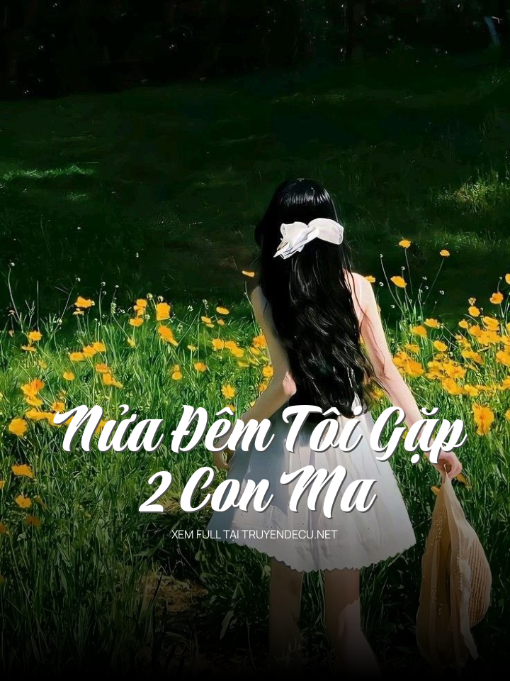Nửa Đêm Tôi Gặp 2 Con Ma