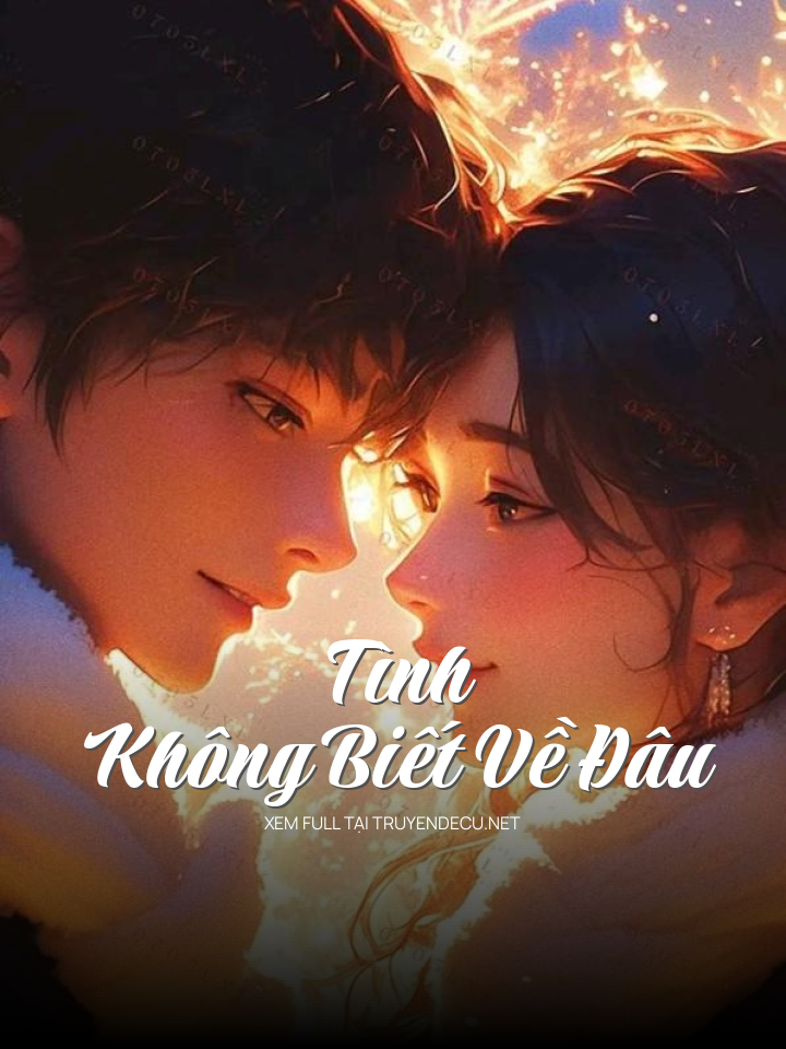 Tình Không Biết Về Đâu
